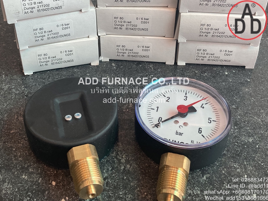0~6bar DUNGS RF80(1)